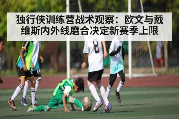 独行侠训练营战术观察：欧文与戴维斯内外线磨合决定新赛季上限